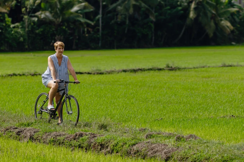 Nearby cycling in rice field, nature and village area.